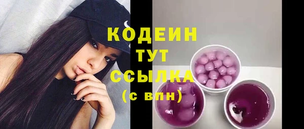 дмт Богданович