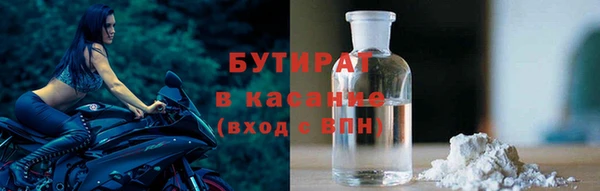 дмт Богданович