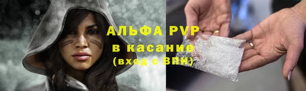 дмт Богданович