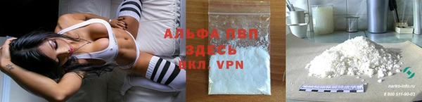дмт Богданович