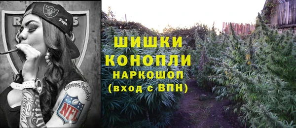 Альфа ПВП Богородск
