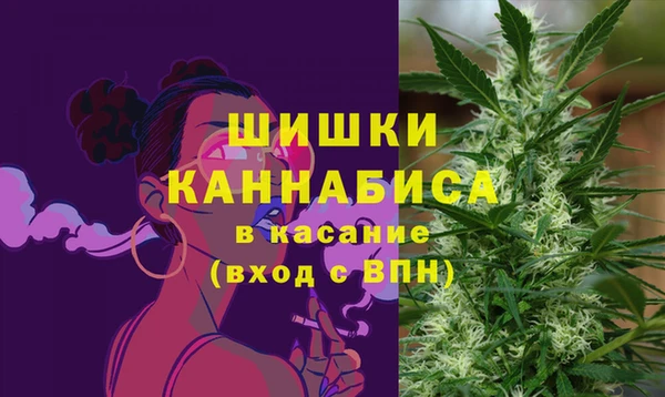 дмт Богданович