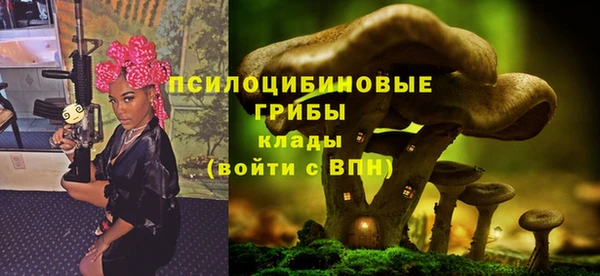 дмт Богданович