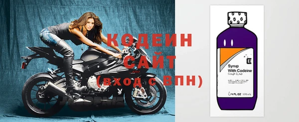 дмт Богданович